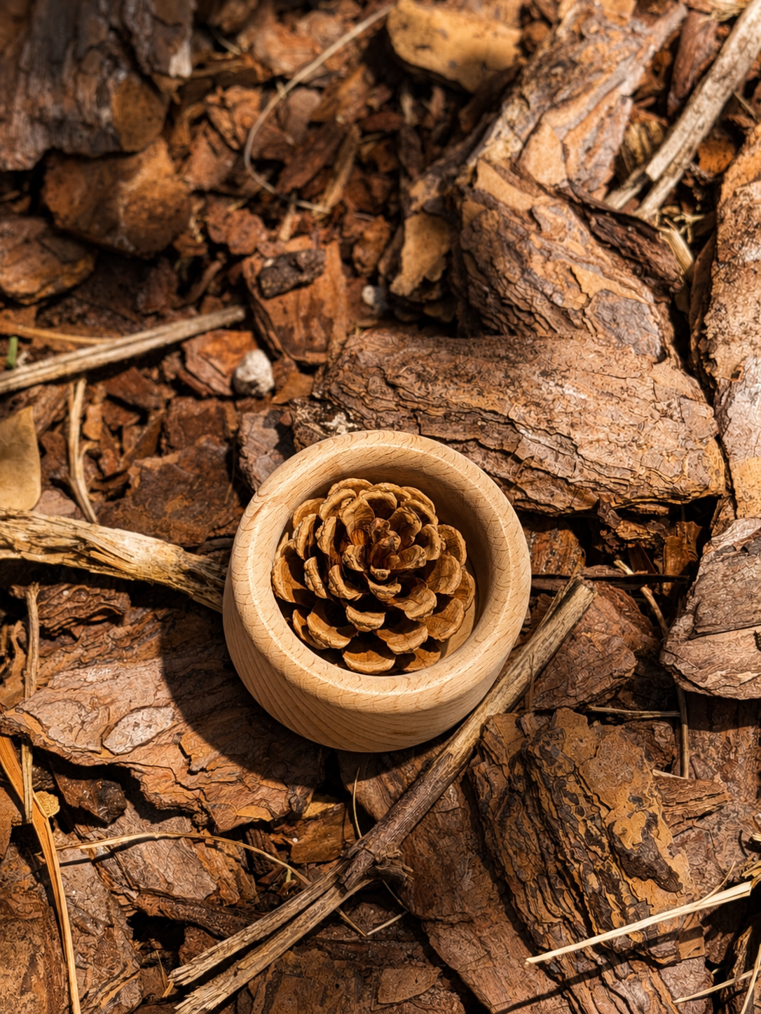 Pinecone Aroma Diffuser