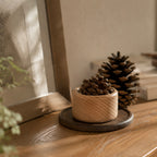Pinecone Aroma Diffuser